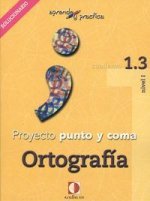 Aprende y practica, punto y coma, ortografía, 1.3. Libro profesor