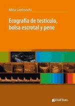 ECOGRAFIA DE TESTICULO BOLSA ESCROTAL Y PENE