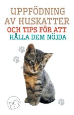 Uppfödning av Huskatter och Tips för att H?lla dem Nöjda
