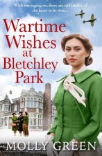 Untitled Bletchley Park Book 3