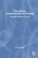 Clinical Comprehension of Meaning