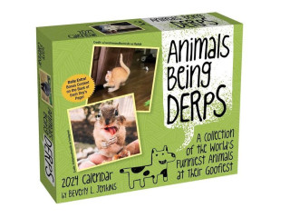 Animals Being Derps 2024 Day-to-Day Calendar