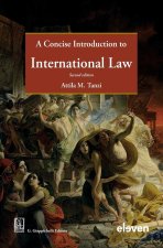 Concise Introduction to International Law