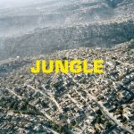 Jungle, 1 Audio-CD