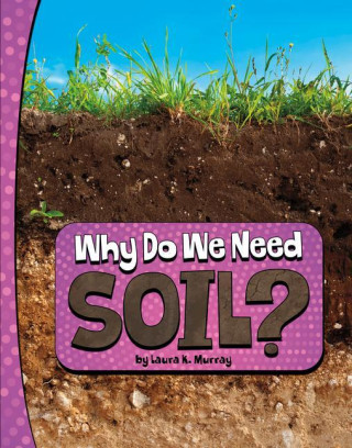 Why Do We Need Soil?