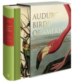 Audubon's Birds of America: The National Audubon Society Baby Elephant Folio