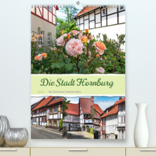 Die Stadt Hornburg (Premium, hochwertiger DIN A2 Wandkalender 2024, Kunstdruck in Hochglanz)