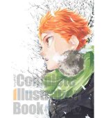 HAIKYU !! COMPLETE ILLUSTRATION BOOK (ARTBOOK VO JAPONAIS)