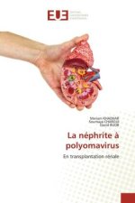 La néphrite ? polyomavirus