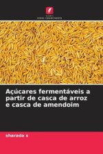 Açúcares fermentáveis a partir de casca de arroz e casca de amendoim