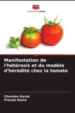 Manifestation de l'hétérosis et du mod?le d'hérédité chez la tomate