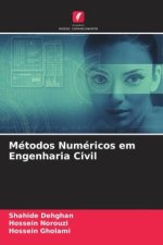 Métodos Numéricos em Engenharia Civil