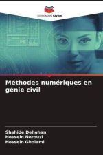 Méthodes numériques en génie civil