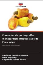 Formation de porte-greffes d'anacardiers irrigués avec de l'eau salée