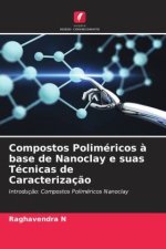 Compostos Poliméricos ? base de Nanoclay e suas Técnicas de Caracterizaç?o