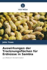Auswirkungen der Trocknungsflächen für Erdnüsse in Sambia