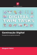 Geminaç?o Digital