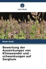 Bewertung der Auswirkungen von Klimawandel und -schwankungen auf Sorghum