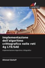 Implementazione dell'algoritmo crittografico nelle reti 4g LTE/SAE
