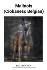 Malinois (Ciob?nesc Belgian)