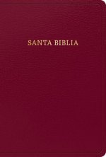 Rvr 1960 Biblia Letra Grande Tama?o Manual, Borgo?a Imitación Piel Con Índice (Edición 2023)