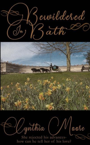 Bewildered in Bath