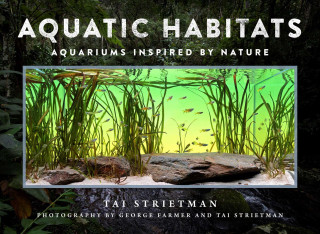 Aquatic Habitats: Aquariums Inspired by Nature