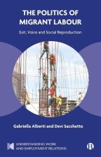 The Politics of Migrant Labour: Organising Everyday Work and Social Reproduction