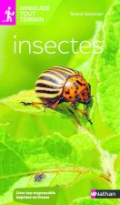 Miniguide tout terrain : Insectes