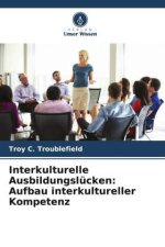 Interkulturelle Ausbildungslücken: Aufbau interkultureller Kompetenz