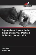 Squarciare il velo della fisica moderna. Parte 3 & Superconduttivit?