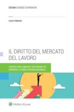diritto del mercato del lavoro