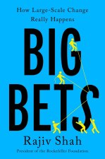 Big Bets: How Large-Scale Change Really Happens