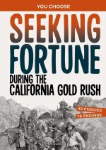 Seeking Fortune During the California Gold Rush: An Interactive Look at History
