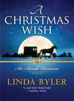 Christmas Wish: An Amish Romance