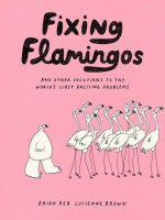 Fixing Flamingos: An Intern's Solutions to the World's Least Pressing Problems