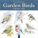 Chris Pendleton Garden Birds Wall Calendar 2024 (Art Calendar)