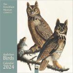 Fitzwilliam Museum: Audubon Birds Wall Calendar 2024 (Art Calendar)