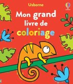 Mon grand livre de coloriage