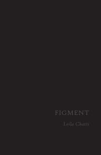 Figment