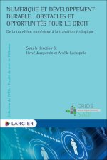 Numérique et développement durable : obstacles et opportunités pour le droit - De la transition numé