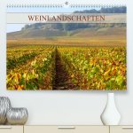 Weinlandschaften (Premium, hochwertiger DIN A2 Wandkalender 2024, Kunstdruck in Hochglanz)