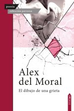 El dibujo de una grieta