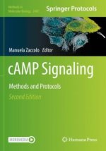 cAMP Signaling