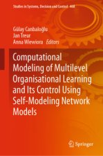 Computational Modeling of Multilevel Organisational Learning and Its Control Using Self-Modeling Network Models