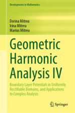Geometric Harmonic Analysis IV