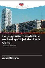 La propriété immobilière en tant qu'objet de droits civils