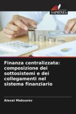 Finanza centralizzata: composizione dei sottosistemi e dei collegamenti nel sistema finanziario
