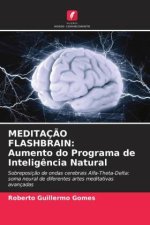 MEDITAÇÃO FLASHBRAIN: Aumento do Programa de Inteligência Natural