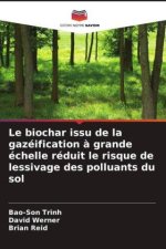 Le biochar issu de la gazéification ? grande échelle réduit le risque de lessivage des polluants du sol